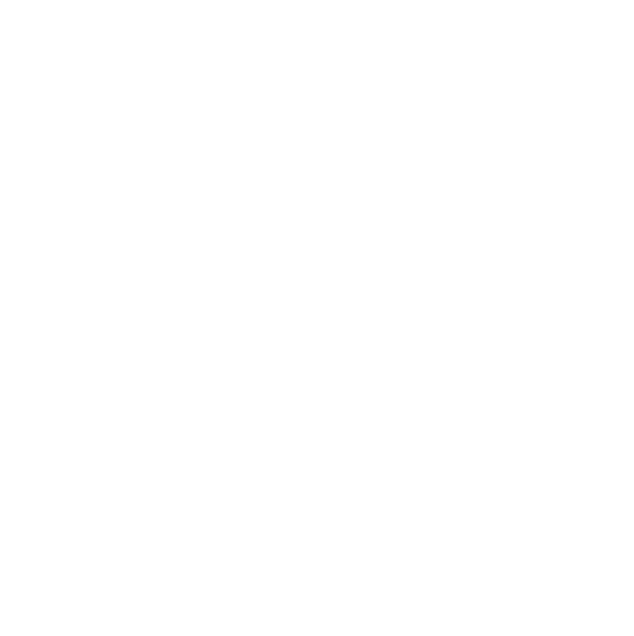 QNeuroAI logo